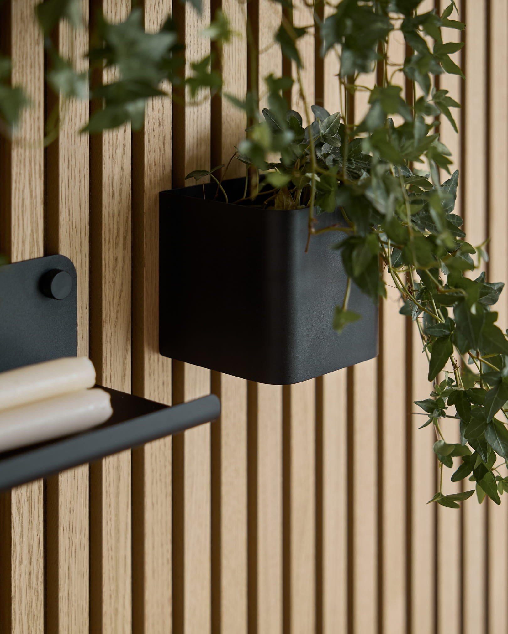Une Plant Box WoodUpp Norr de 11,9 cm black, avec du lierre vert, est suspendue sur un panneau en bois clair Akupanel Panneau acoustique ; une partie d’une étagère assortie avec des papiers roulés est visible.